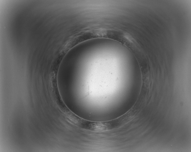 X0000067340229200603311134