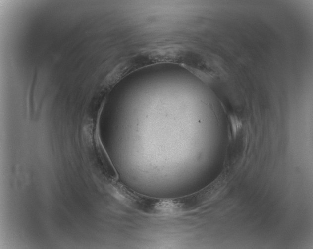 X0000067340231200603311134