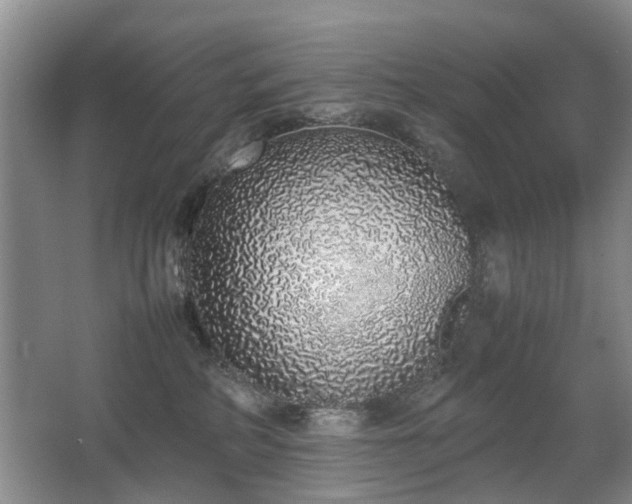 X0000067340234200603311134