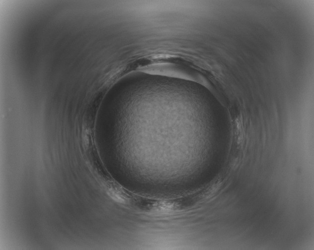 X0000067340235200603311134