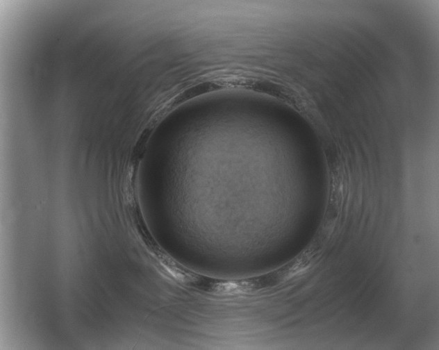 X0000067340239200603311134
