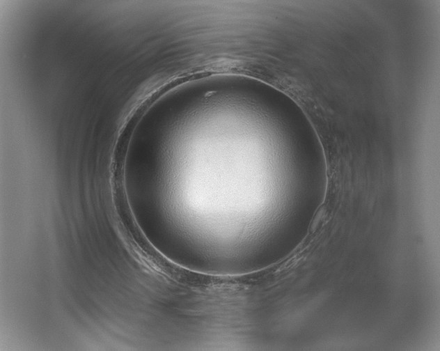 X0000067340242200603311133