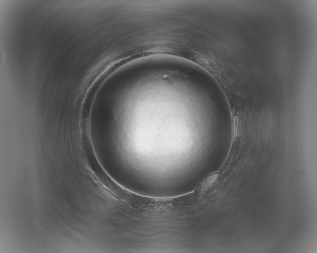 X0000067340243200603311133