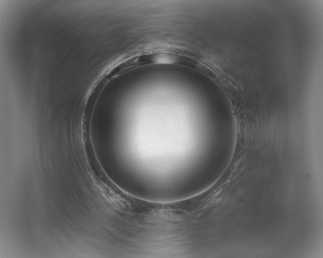 X0000067340244200603311133