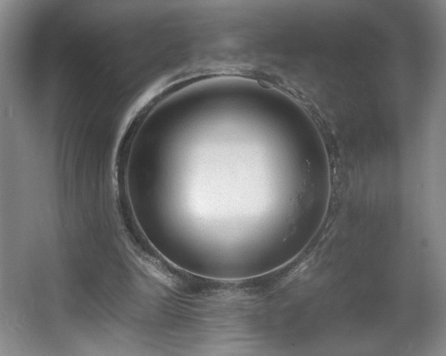 X0000067340246200603311133