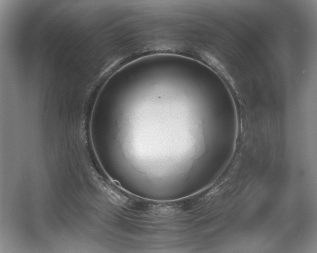 X0000067340249200603311133