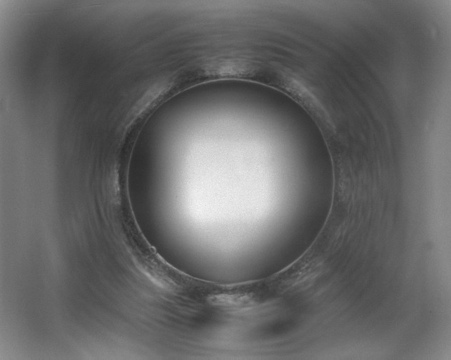 X0000067340251200603311133