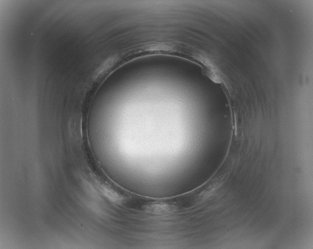 X0000067340253200603311133