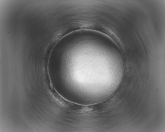 X0000067340257200603311133
