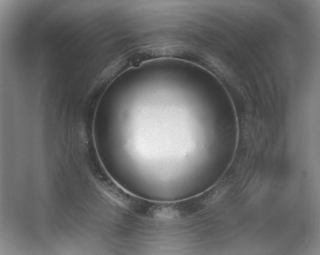 X0000067340258200603311133