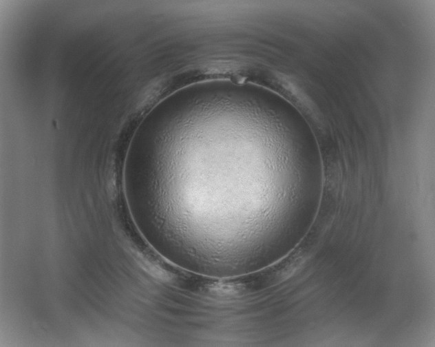 X0000067340261200603311134