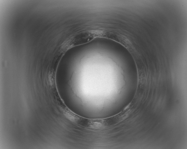 X0000067340285200603311134