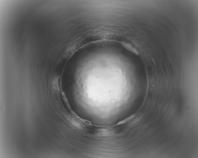 X0000067340286200603311134