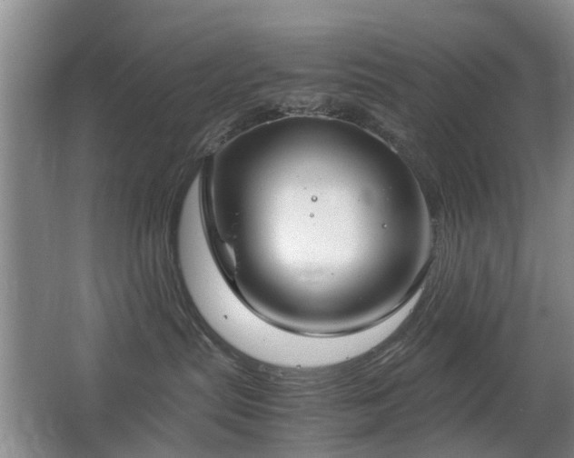 X0000067340287200603311134