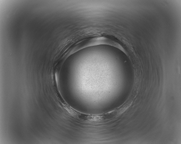 X0000067340288200603311134