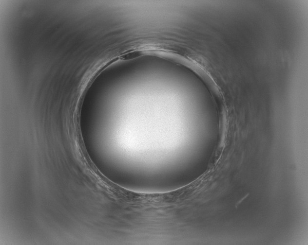 X0000067340289200603311133