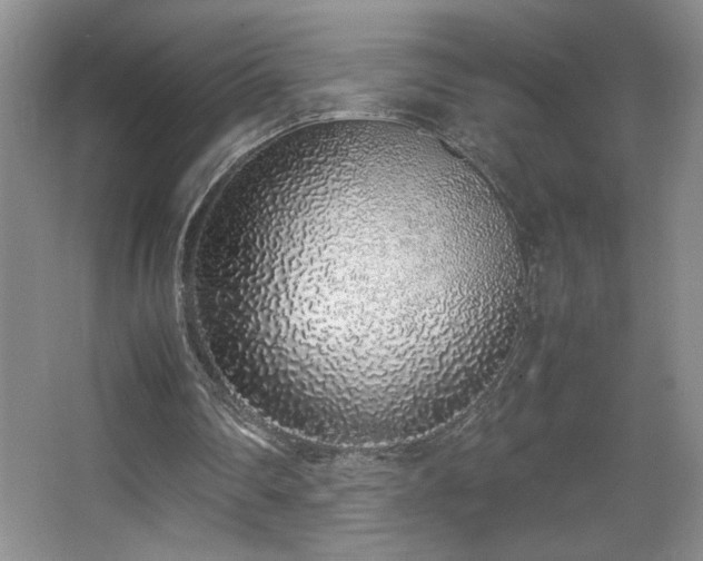 X0000067340290200603311133