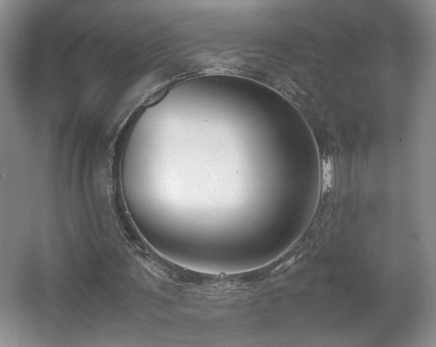 X0000067340291200603311133