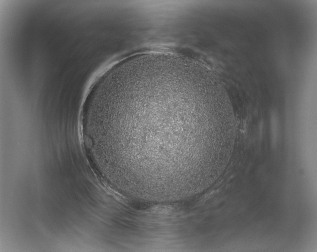 X0000067340294200603311133