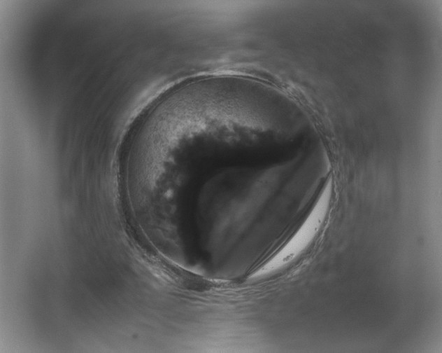 X0000067340295200603311133
