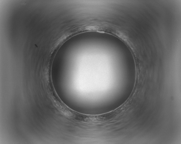 X0000067340297200603311133