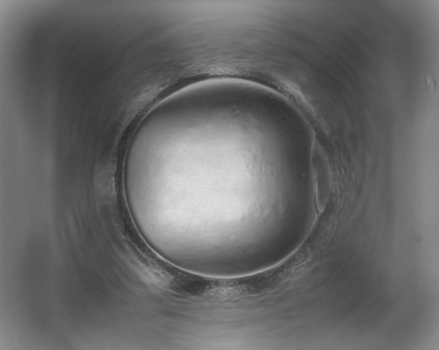 X0000067340299200603311133