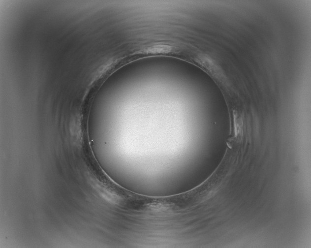 X0000067340300200603311133