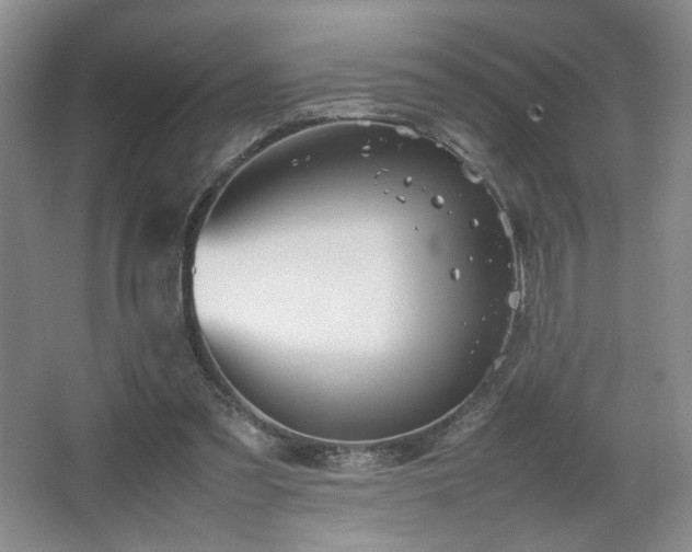 X0000067340301200603311133