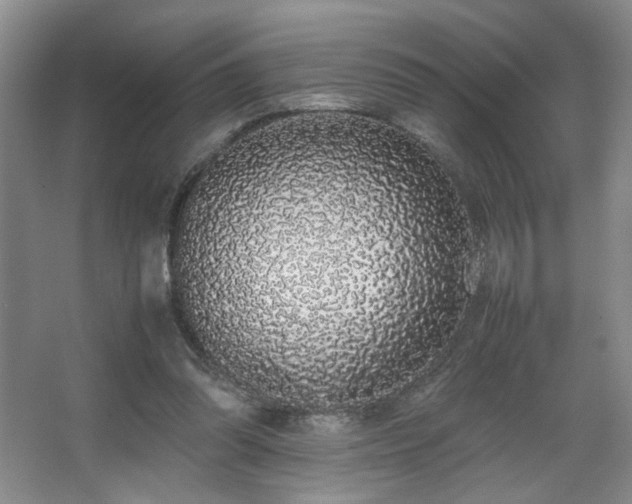 X0000067340302200603311133