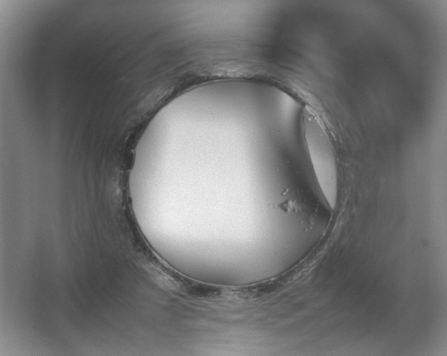 X0000067340305200603311133