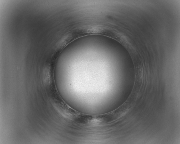 X0000067340312200603311133
