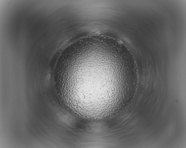 X0000067340314200603311133