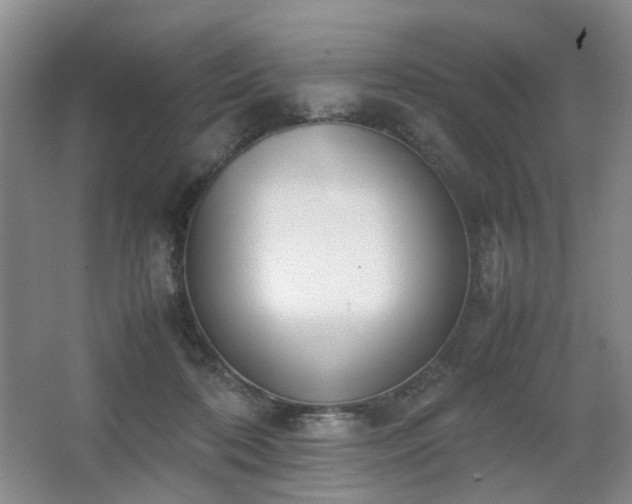 X0000067340316200603311133