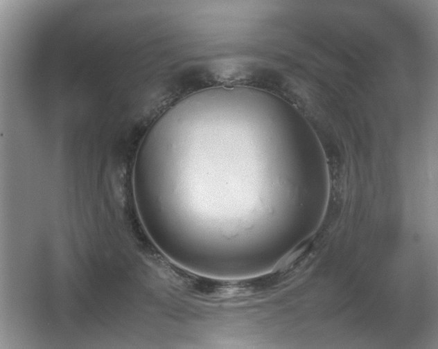 X0000067340319200603311133