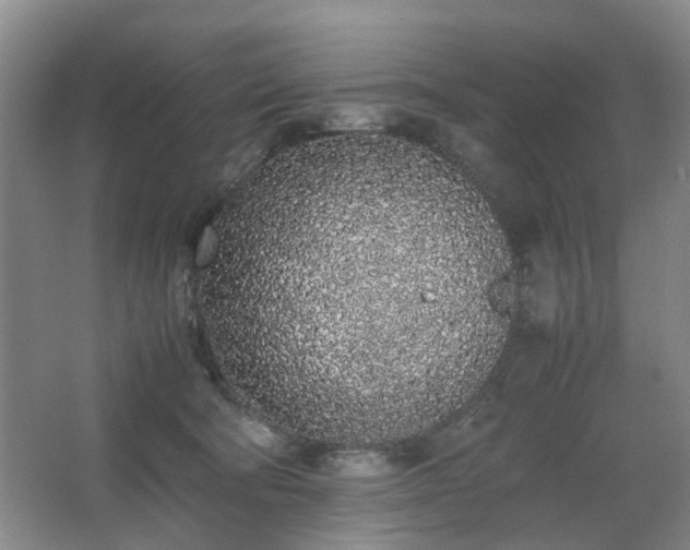 X0000067340322200603311133