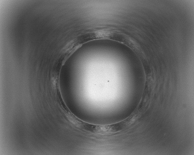 X0000067340329200603311133
