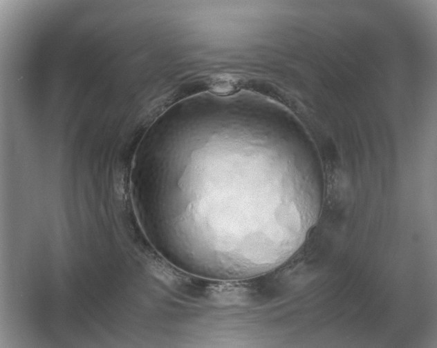 X0000067340331200603311132
