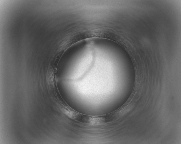 X0000067340336200603311132