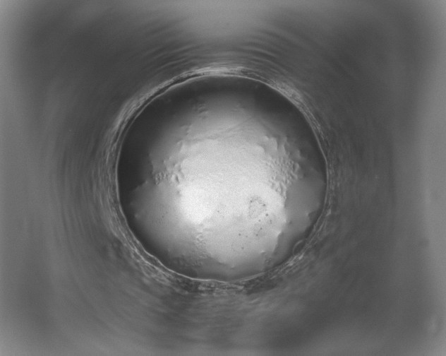 X0000067340337200603311132