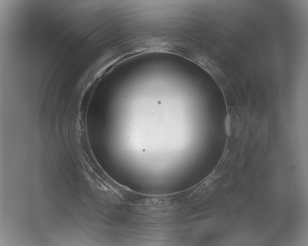 X0000067340338200603311132
