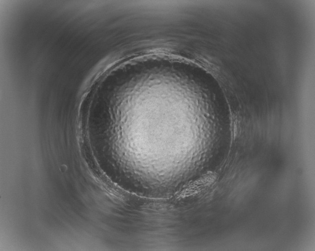 X0000067340339200603311132