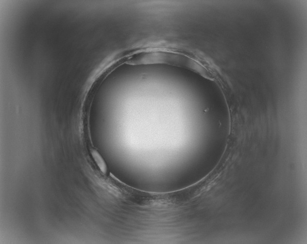 X0000067340344200603311132
