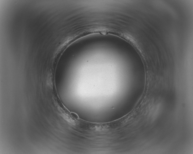 X0000067340345200603311132
