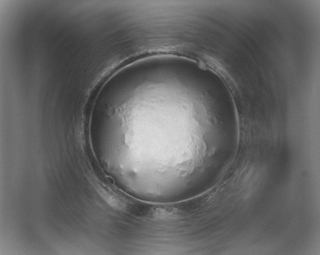 X0000067340346200603311132