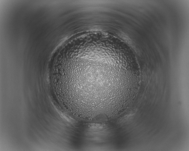 X0000067340347200603311132