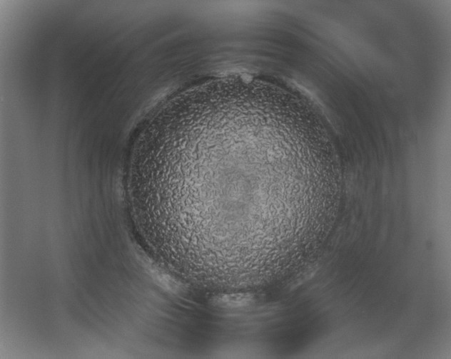 X0000067340353200603311132