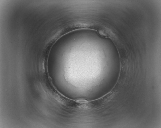 X0000067340358200603311132