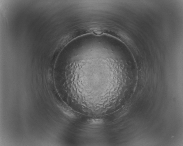 X0000067340361200603311132