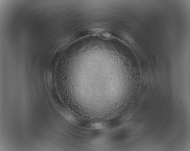 X0000067340365200603311132