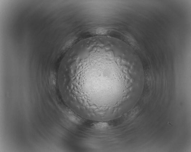 X0000067340374200603311132